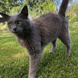 Meet your Posher, Edward